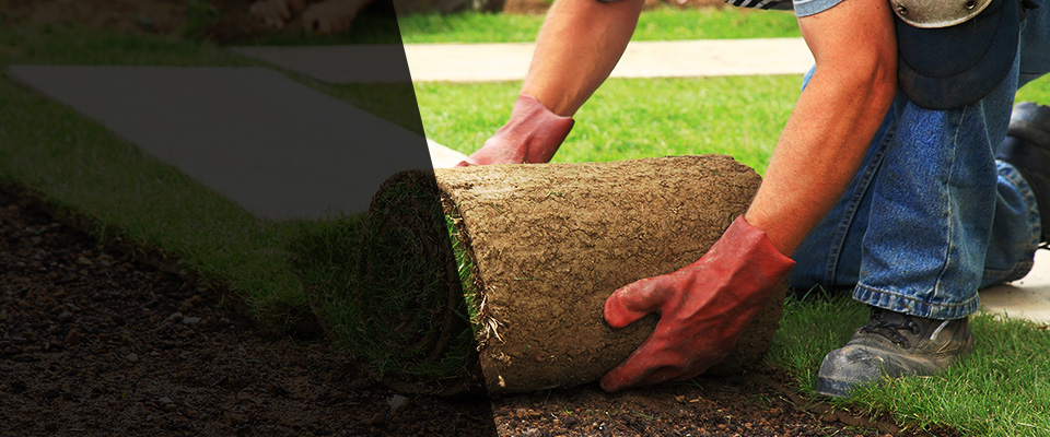 Marlow Landscapers